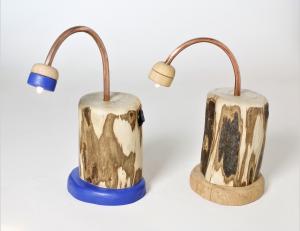 MINI FOREST LAMP 1