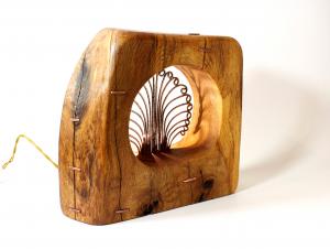 Pavo